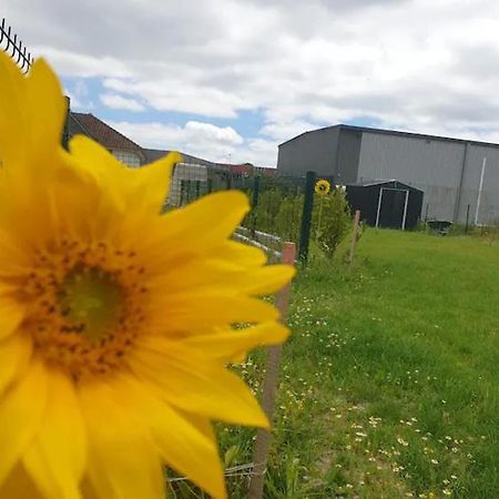 Chambre Calme Dans Une Maison Neuve Avec Jardin Billere エクステリア 写真